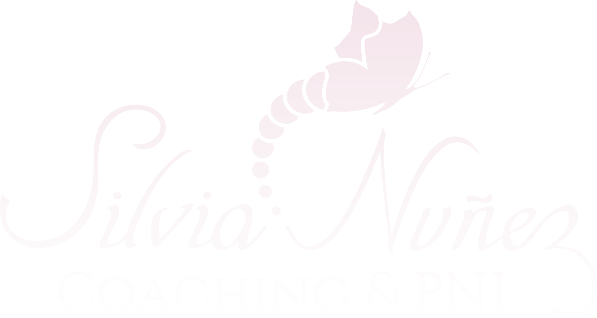 Logo Claro Silvia